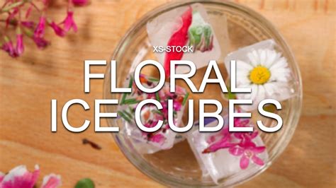 How To Make Decorative Floral Ice Cubes For Summer Drinks Youtube