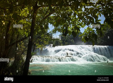 Aqua Azul Waterfalls In Chiapas Mexico Stock Photo Alamy