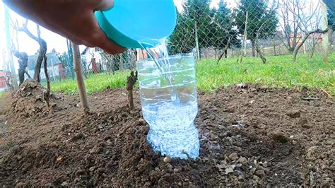 Plastic Bottle Drip Water Irrigation System With Rope New Method Save