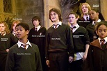 Harry Potter cast - Harry Potter Photo (8624176) - Fanpop