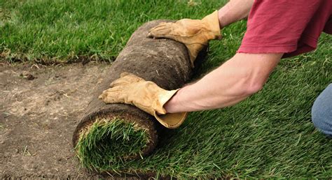 Methods Of Planting A Lawn Toro Yard Care Blogtoro Yard Care Blog