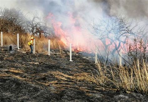 incendios forestales consumen m s de ocho mil hect reas en el sur hot sex picture