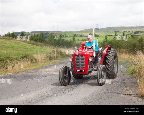 Enthusiast Driving A Red Vintage Tractor Massey Ferguson 35x During