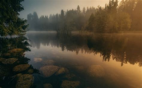 549138 Nature Landscape Lake Mist Forest Sunrise Fall Water Reflection