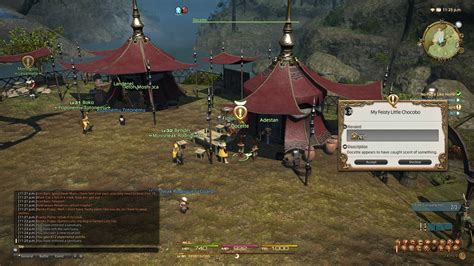 Final Fantasy Xiv How To Use Your Chocobo In Battle