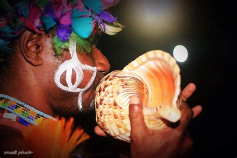 Alat Musik Tradisional Papua Triton