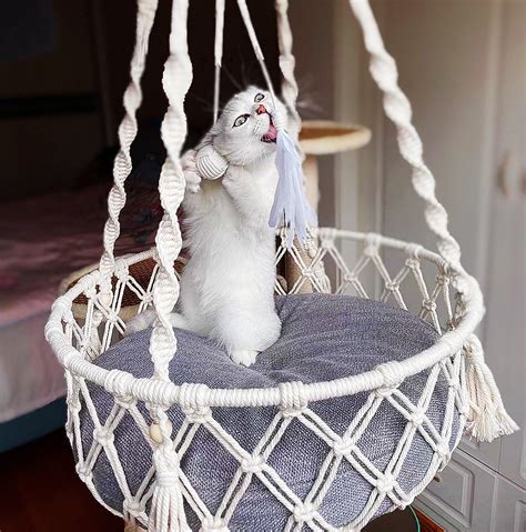 3 Different Sizes Of Macrame Cat Hammocks With Pillow Hanging Etsy