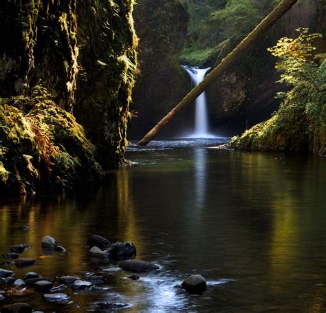 Punch Bowl Falls Washington State With Images Punchbowl Falls
