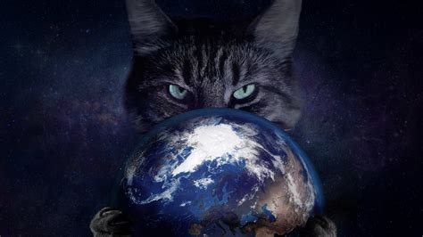 Space Cat Earth Hd Wallpapers Desktop And Mobile
