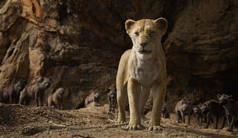 Le Roi Lion 2019 Film