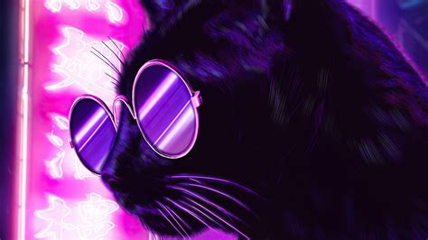 2560x1440 Cat Glasses Neon Purple Nights 4k 1440p Resolution Hd 4k