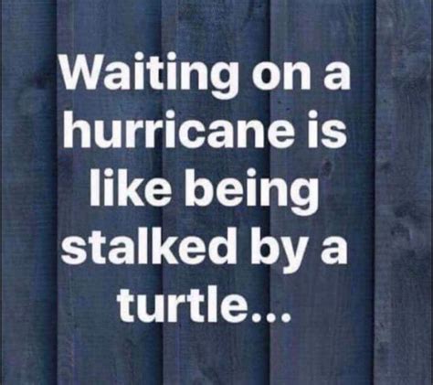 Pin By My Info On Hurricanes Funny Quotes Weird Quotes Funny