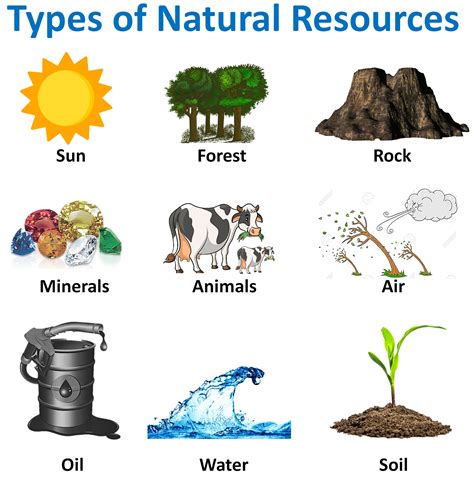 Types Of Natural Resources With Examples Teachoo Concepts