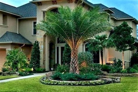 Transform Your Front Yard With A Palm Tree