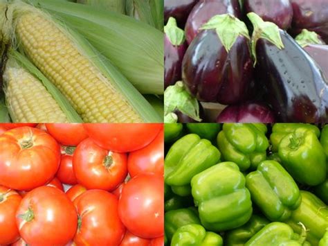 Ideas For Storing Fresh Summer Vegetables To Avoid Food Waste