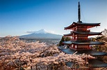 The 9 Best Japan Tours of 2021