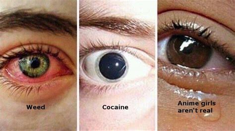 The Effects Different Drugs Have On The Eye Animemes