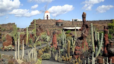 Manrique Cactus Garden On Lanzarote 2 Scenic 554 Cactus Garden Hd