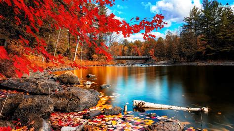 34 Autumn Wallpapers ·① Download Free Stunning Wallpapers For Desktop