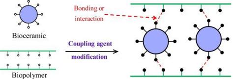 Titanate coupling agent titanate coupling agent is a novel type of coupling agent developed by the kenrich petroleum chemical company organophilic and oleophilic properties, thereby improving the mechanical properties of the composites. Interfacial reinforcement in bioceramic/biopolymer ...