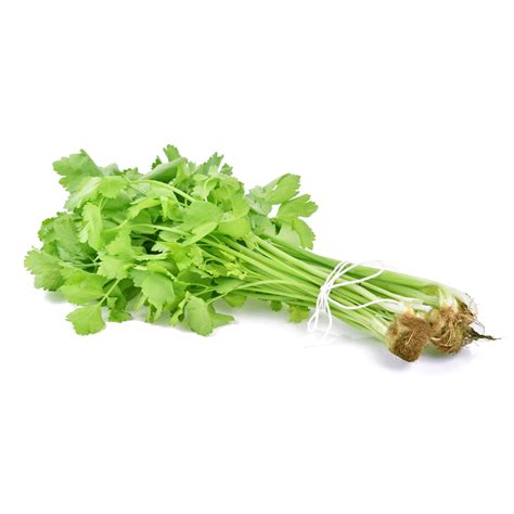 Fresh Thai Chinese Celery 100g Imported Weekly From Thailand Thai