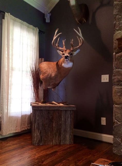 Pin By Jaime Peavy On Diy Projects Deer Decor Deer Mount Decor