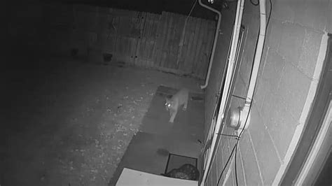 Home Security Camera Footage - The O Guide