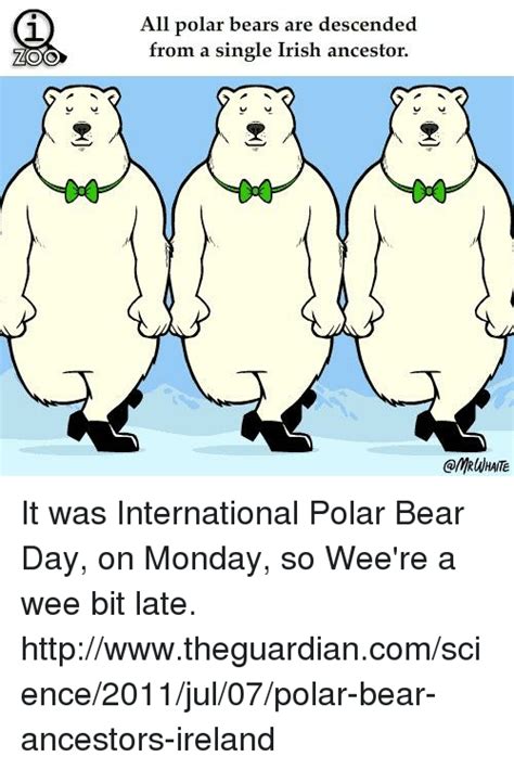 Oo All Polar Bears Are Descended From A Single Irish Ancestor It Was