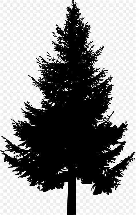 Pine Tree Silhouette Clip Art Png 1267x2000px Pine Black And White