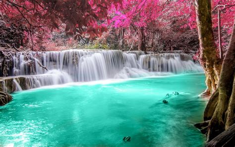 Waterfall Forest Colorful Nature Thailand Trees Landscape Pink