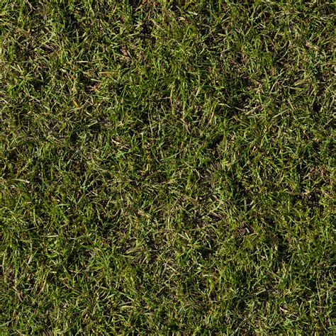 3d Textures Grass Collection Free Download Page 1