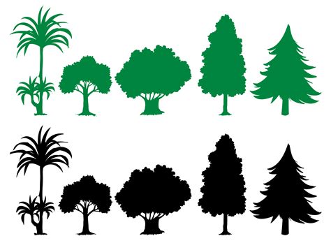 Pin On Tree Silhouettes Vectors Clipart Svg Templates