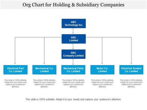 Org Chart For Holding And Subsidiary Companies Powerpoint