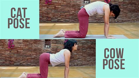 Pregnancy Fitness Cat Cow Pose For Back Prenatal Yoga Youtube