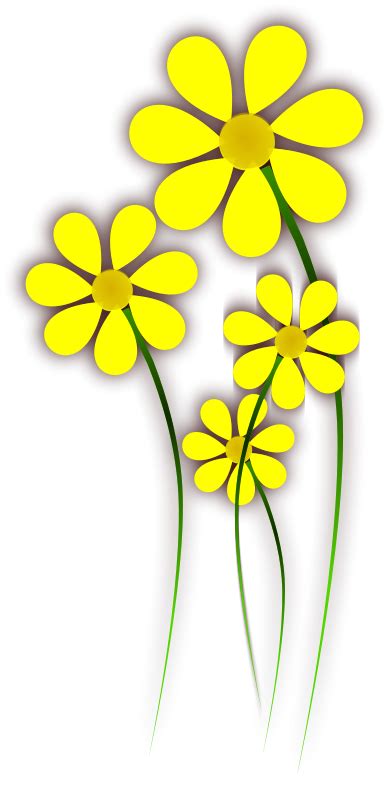 Daisies Clipart Yellow Daisy Daisies Yellow Daisy Transparent Free For