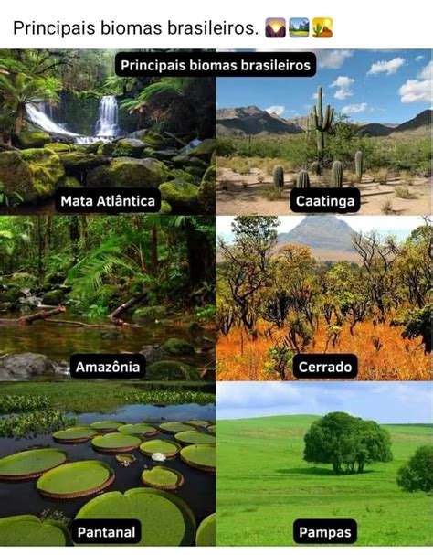 Principais Biomas Brasileiros Principais Biomas Brasileiros Mata