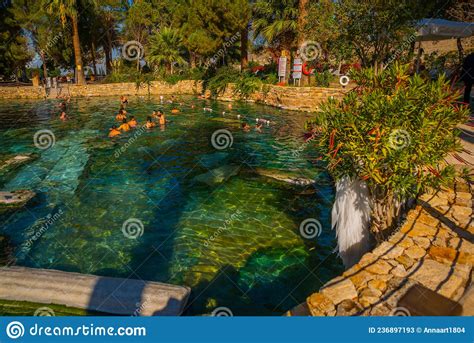 PAMUKKALE TURKEY Cleopatra S Bath The Antique Pool View In Pamukkale