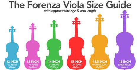 Size Guide For Violins Violas And Cellos Normans Blog