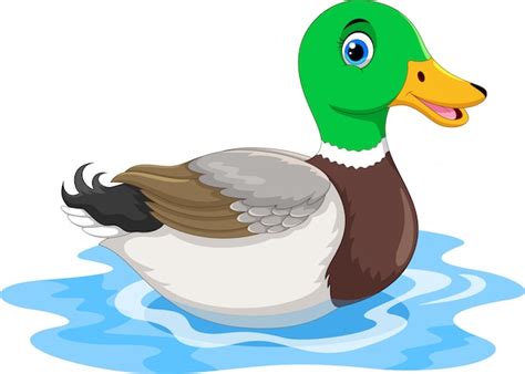 Premium Vector Cute Cartoon Duck Swimming