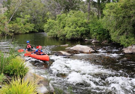 Barrington Tops Nsw Things To Do Accommodation And Camping