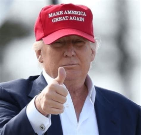 Pigeons In Maga Caps And Donald Trump Wig Spotted Wandering The Streets