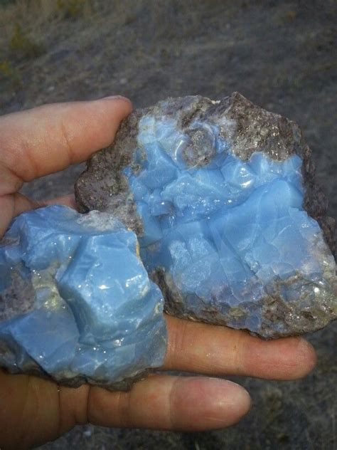 Blue Opal Thunder Eggs Succor Creek Oregon Minerals And Gemstones