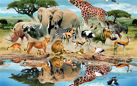 1366x768px Free Download Hd Wallpaper Animals Animal World Mural