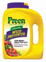 Pre Emergent Weed Killer Lowes Images