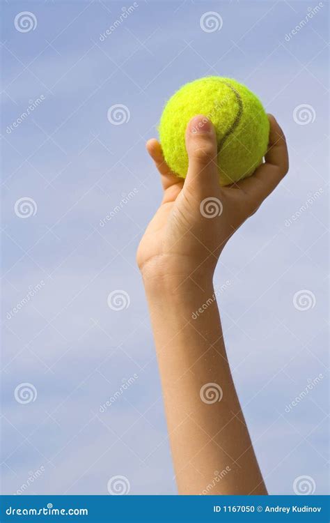 Catch The Ball Stock Photo Image 1167050