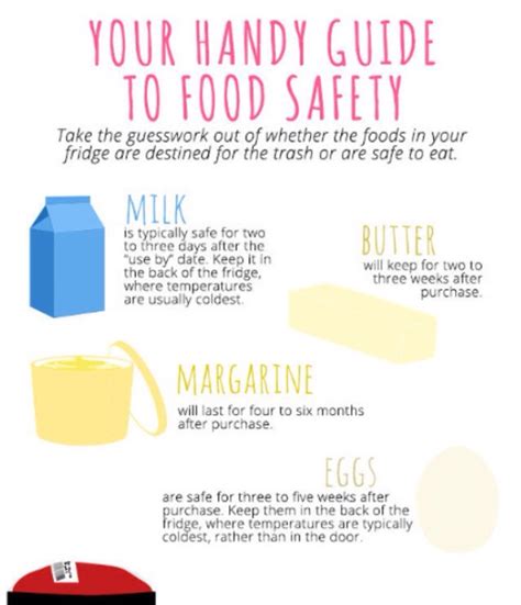 🍓🌽🍗handy Guide To Food Safety 🍗🌽🍓 Musely