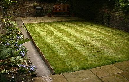It won't last or provide a durable base. Lawns & Artificial Grass | InsideOut Gardening Services