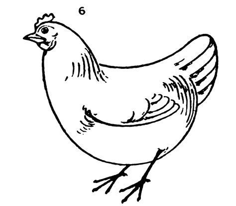 How To Draw A Chicken Step By Step Drawing For Beginners Smart Kids 123