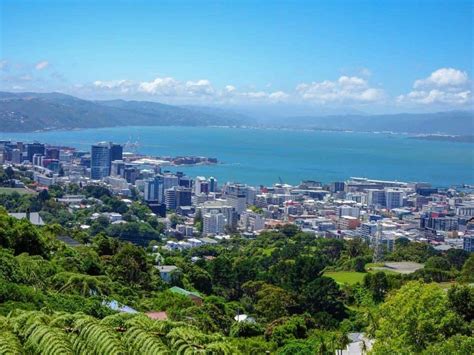 The 22 Best Things To Do In Wellington Epic 2023 Guide