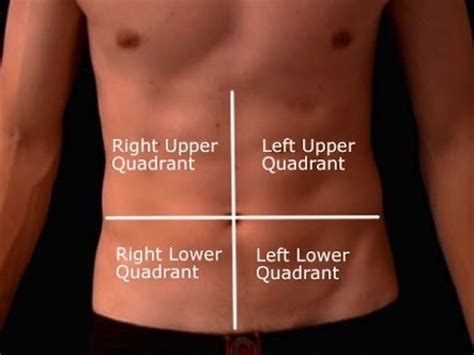 The left lumbar region is one of nine regions of the abdominal cavity, and it contains organs from both the digestive and excretory systems. Why does the right side of my stomach hurt while I'm running? - Quora